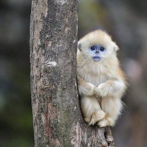 Meet your Posher, Derrick